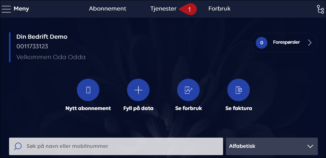 DB_tilleggstjenester4.jpg