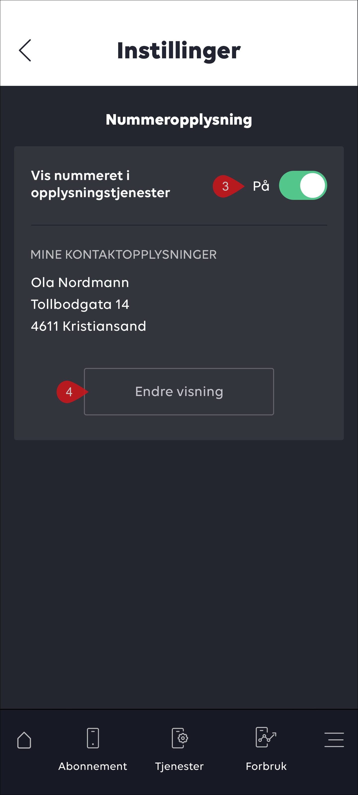 opplysningDP_3.png